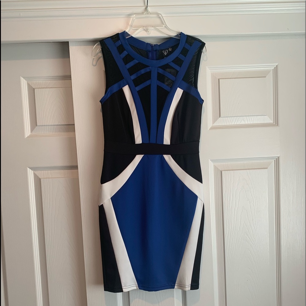 NWT Windsor dress